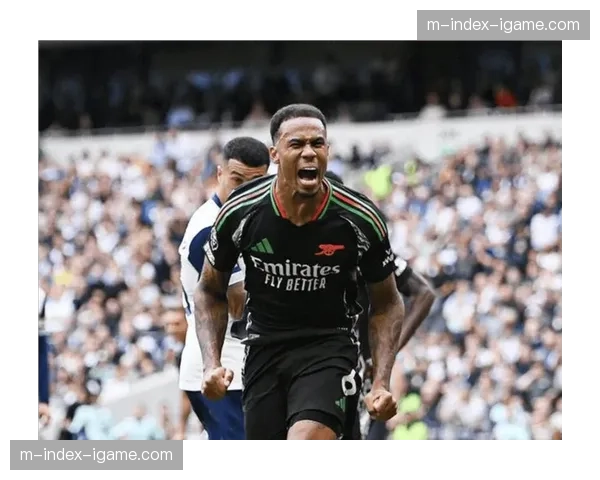 阿森纳后卫加布里埃尔成为后防中流砥柱