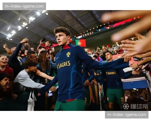 葡萄牙若昂内维斯年轻后腰,大赛经验与防守位置感面临考验 葡萄牙若昂内维斯年轻后腰,大赛经验与防守位置感面临考验